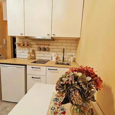 Kataryniarza Apartment *