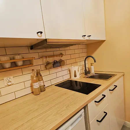 Kataryniarza Apartment