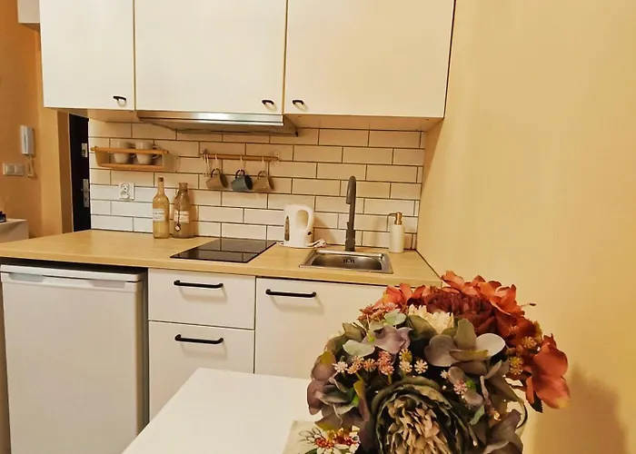 Kataryniarza Apartman *